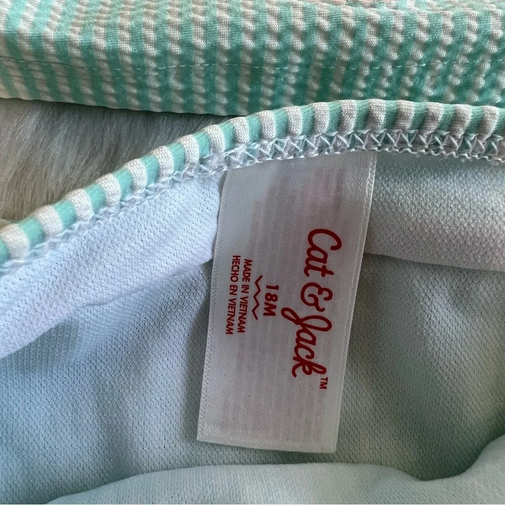 Cat & Jack Girls Long‎ Sleeve Striped Strawberry Two Piece Swimsuit Blue 18 M